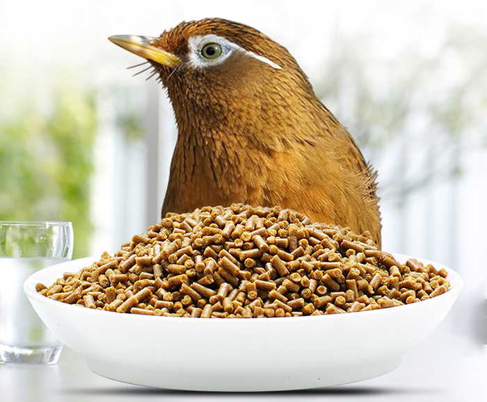 开元宠食颗粒鸟粮为您满足所有营养元素需求