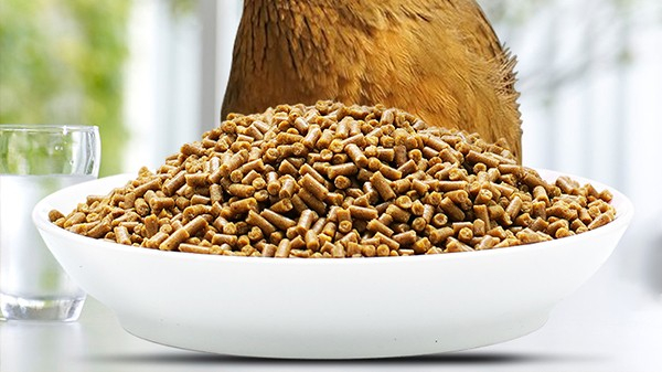 开元宠食颗粒鸟粮为您满足所有营养元素需求